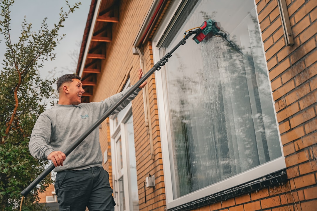 Pure Water Window Cleaning Prague β Streak-Free, Chemical-Free
