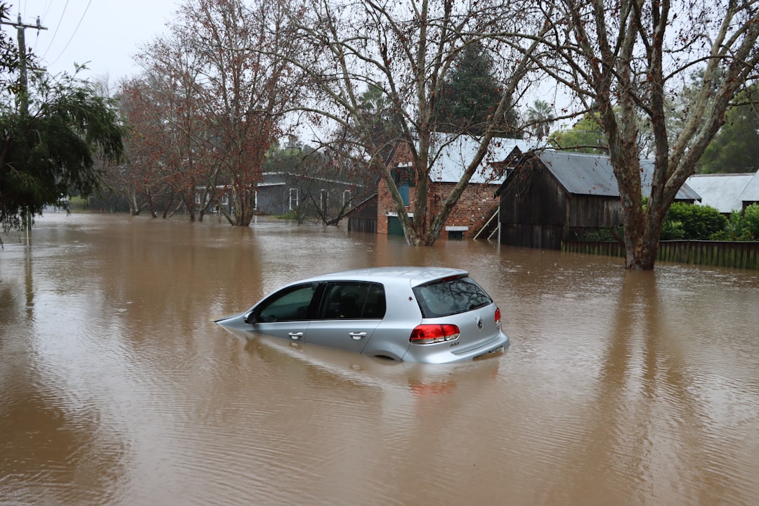 Post-Disaster Cleaning β Flood, Fire and Water Damage