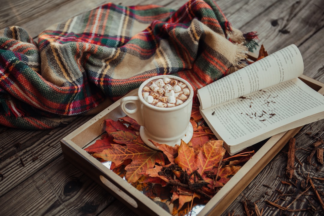 Autumn Seasonal Cleaning in Prague β Home and Apartment