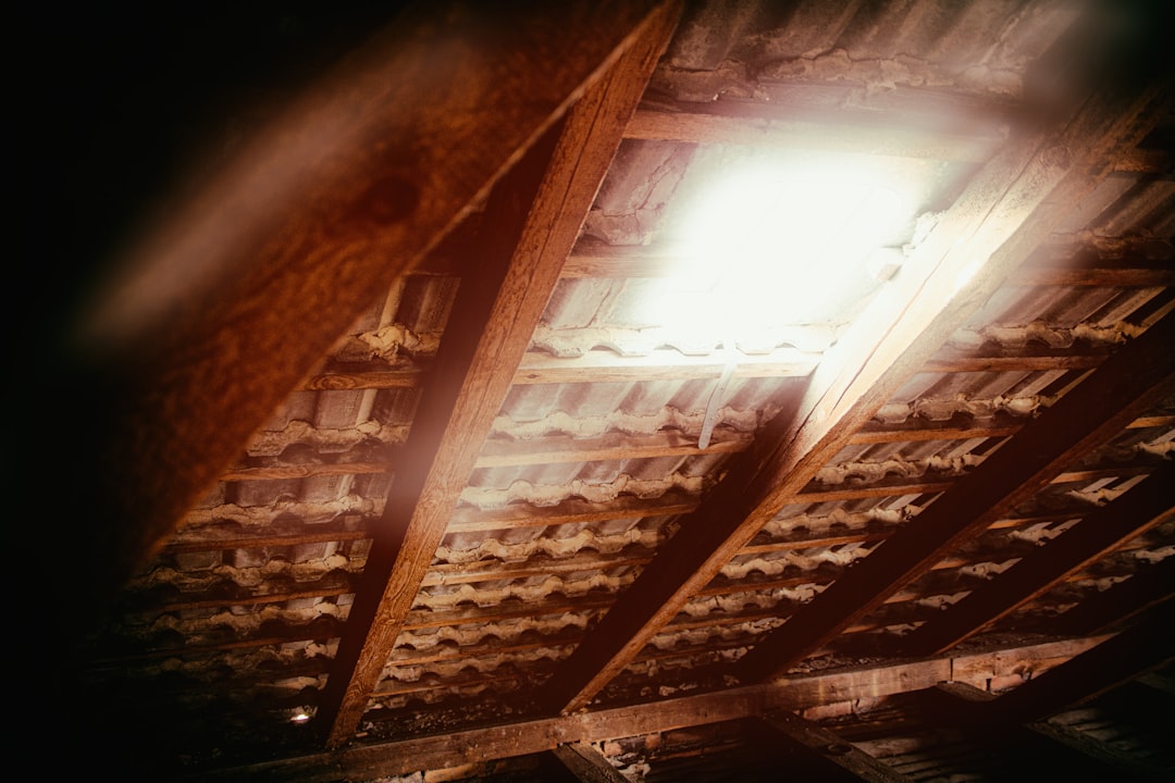 Skylight Window Cleaning Prague β Velux, Fakro and Custom Rooflights