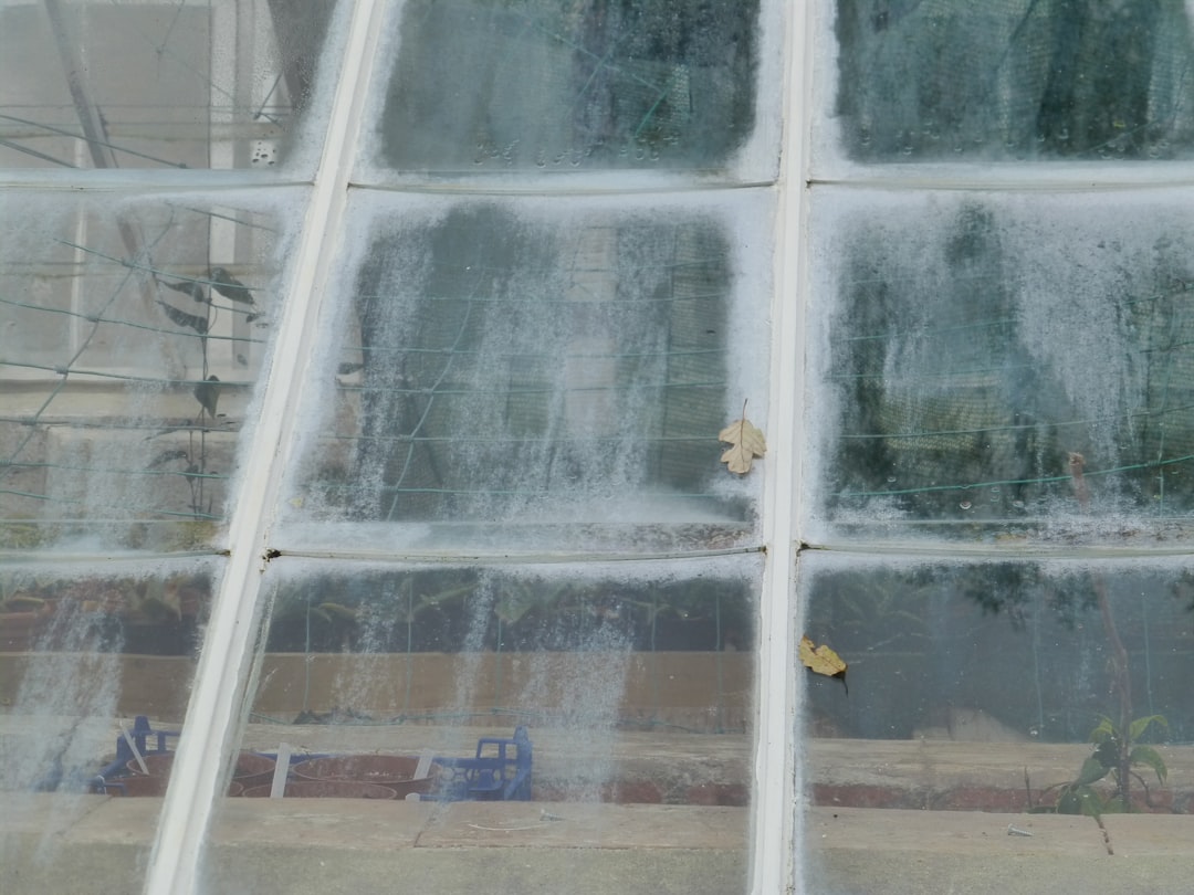 Conservatory Cleaning Prague β Glass, Frames and Roof